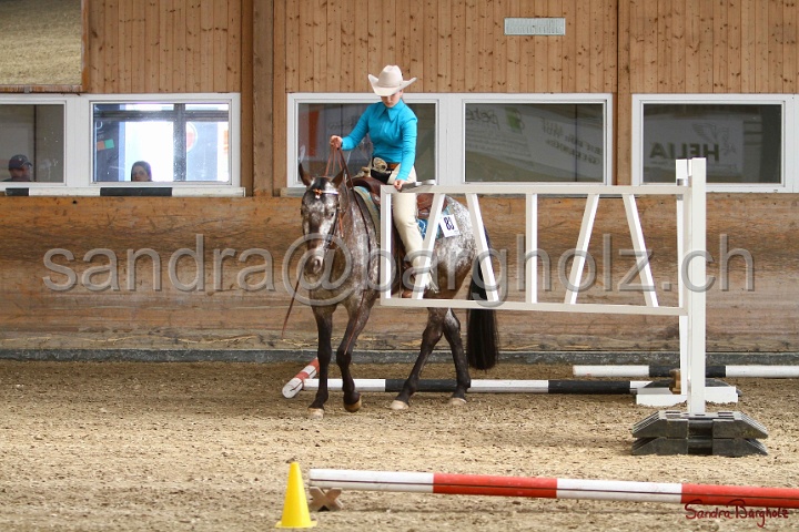 26-ApHC GT_173.jpg